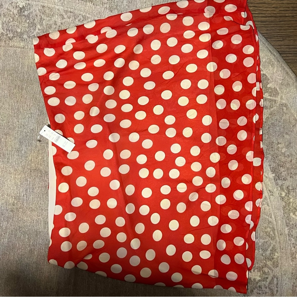 J. Crew Red and White Polka Dot Mini Skirt